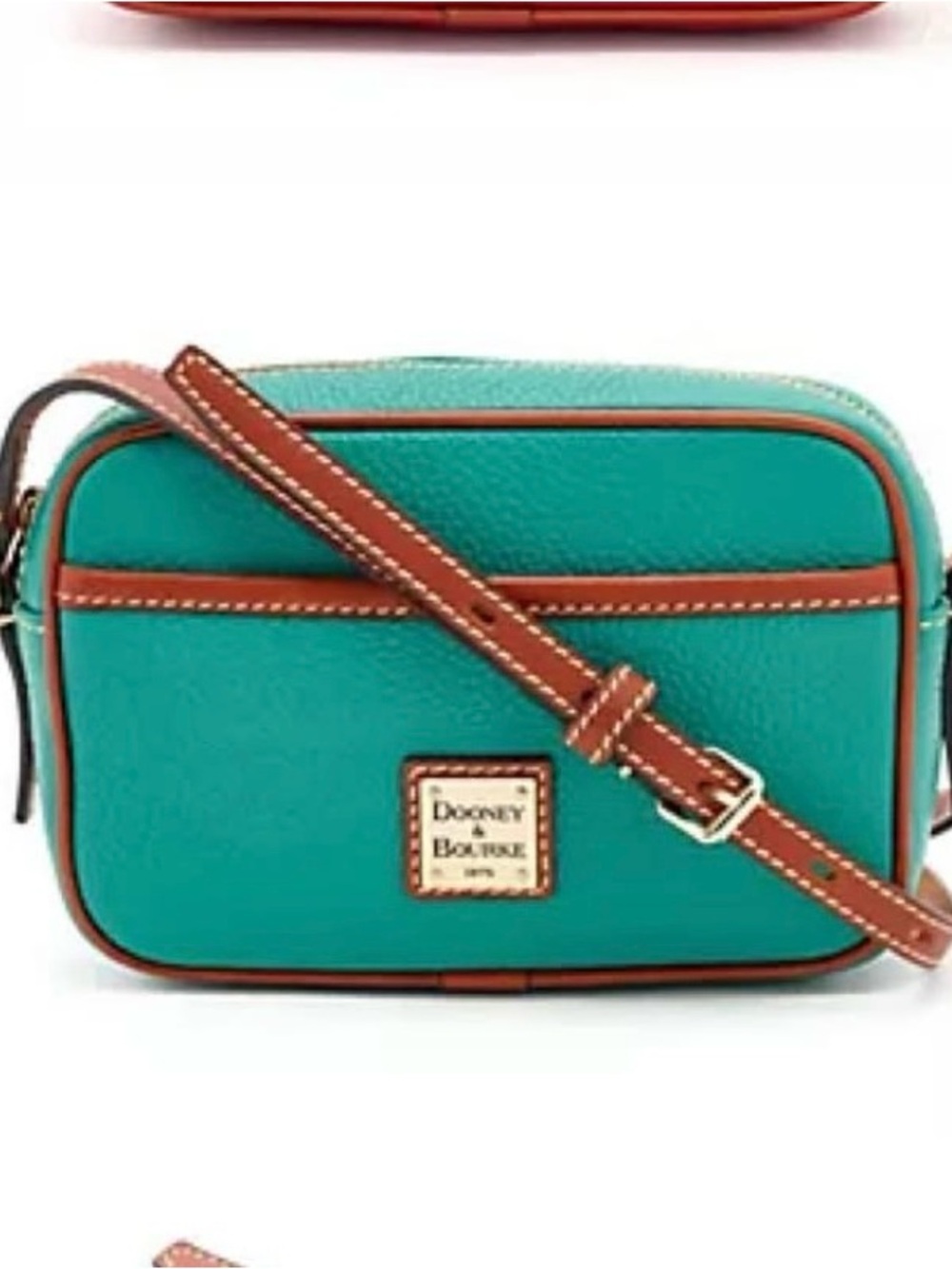 Dooney & Bourke Spearmint Camera Crossbody Bag with Brown Trim